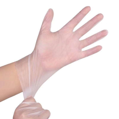 Disposable Clear Household Sterile Vinyl Gloves Powder Free