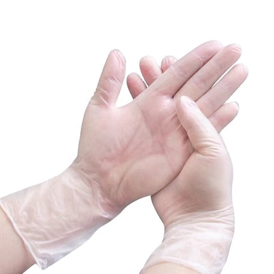 Breathable Powder Free Disposable Vinyl Gloves Accept Customize