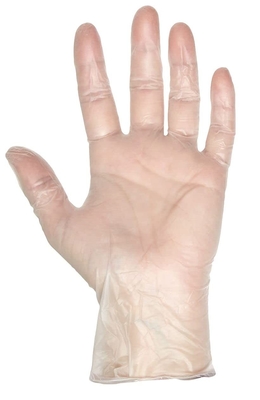 Disposable Clear Vinyl Gloves Latex Free For Kitchen Cooking