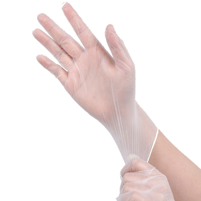 Powder Free Disposable 100pcs Disposable Vinyl Gloves Transparent PVC Gloves Protective For Examination Food