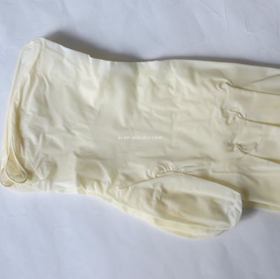 Disposable powdered latex surgical gloves Medical Latex Gloves Laboratory Food