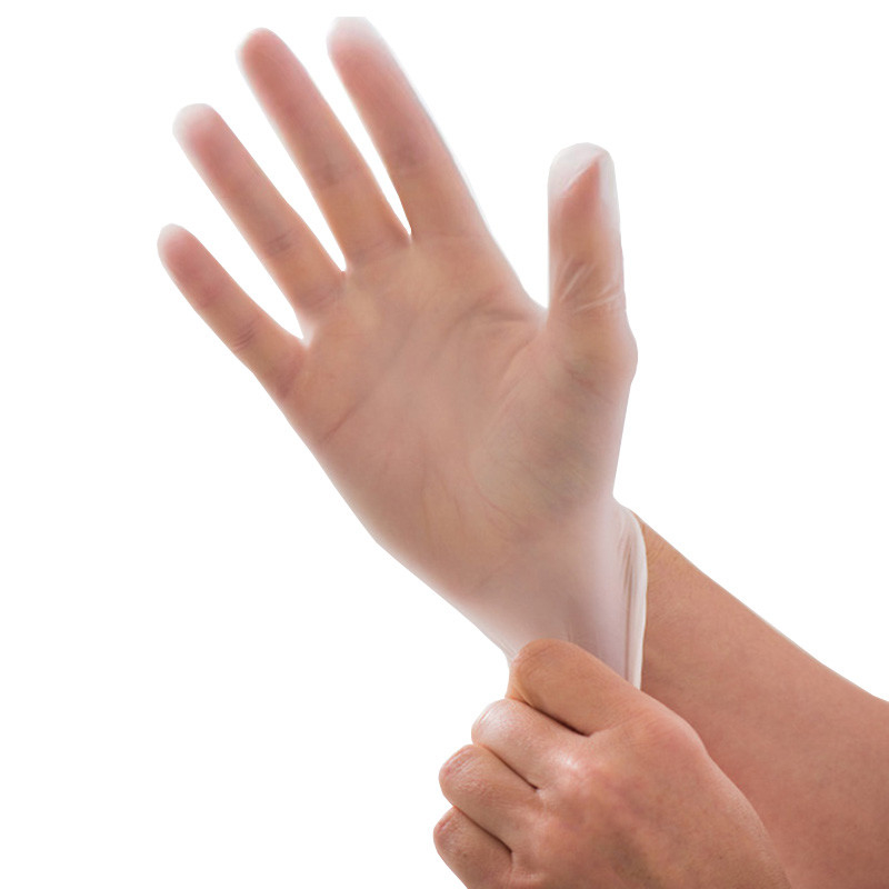 Disposable Medium Clear Vinyl Medical Exam Gloves Powder Free 100 Pack