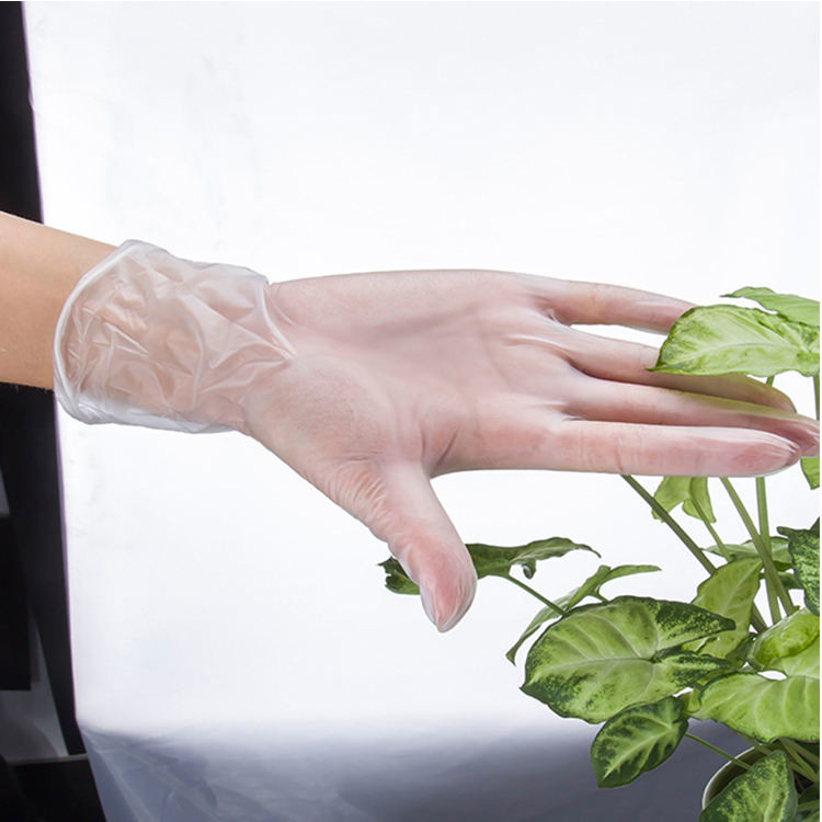 Clear Disposable Gloves for Home Restaurant Bar and Super Markets Promotions