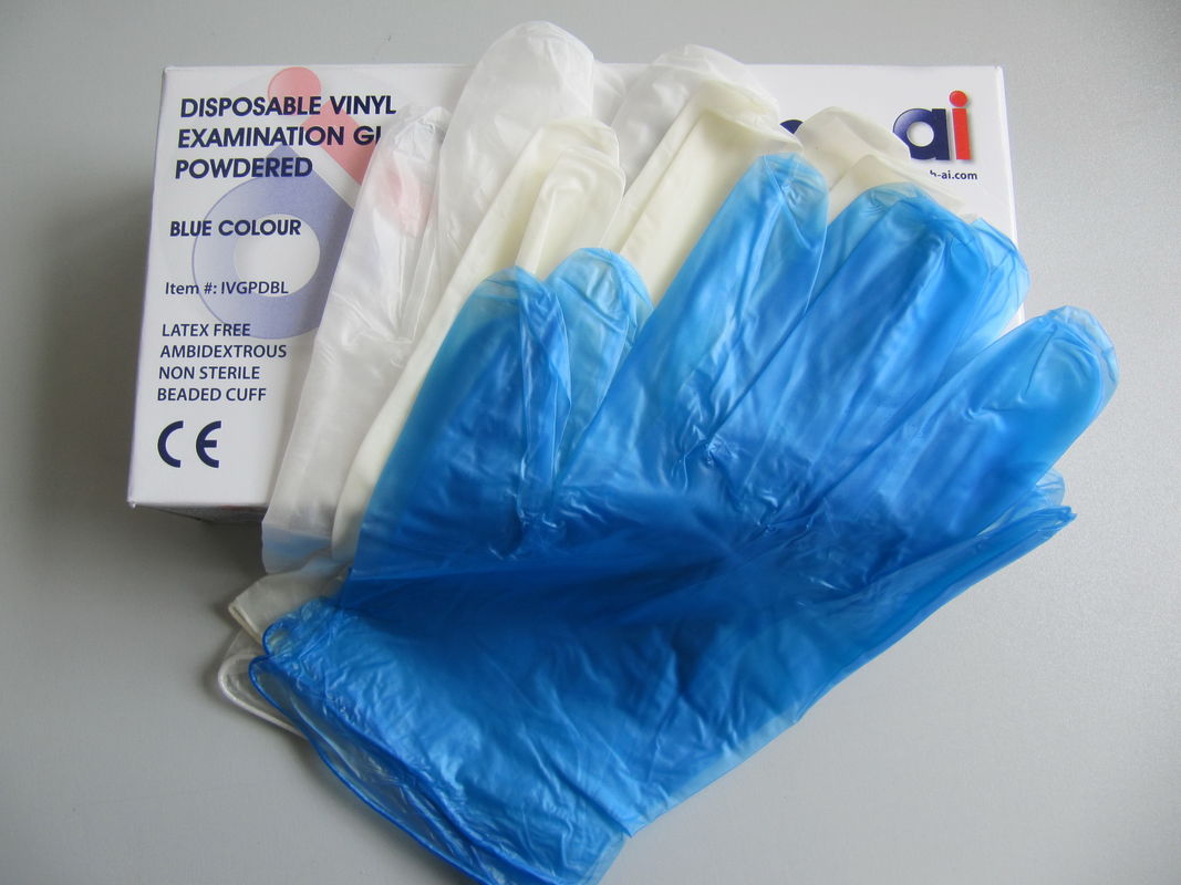 240mm Disposable Powder Free Vinyl Examination Gloves Comfortable